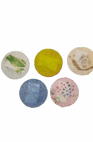 文香　青空　５つセット