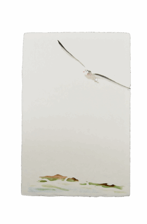 手染めはがき　かもめ