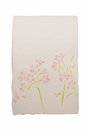 手染めはがき　ムラサキガタバミ