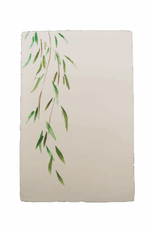 手染めはがき　ヤナギ